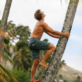 Men's Classic Boardshorts - Taro Leaves Green - jamsworld.com