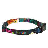 Pet Collar - Fiore Black